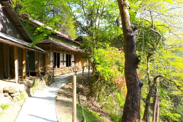 [Standard Season] Experience a Leisurely Lifestyle in the Countryside at Kominka Omine, Surrounded by Quintessential Japanese Scenery