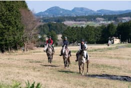 Enjoy Forest Bathing and a 4.8-km Forest Road Trail For Horseback Riding!