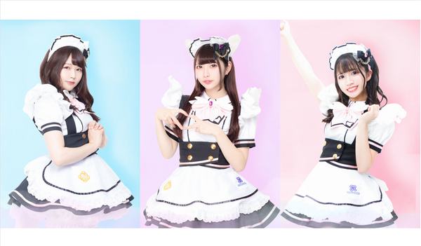 [Shinjuku East-Exit Store] Maid Café Maidreamin's Light Plan For Casual Visitors
