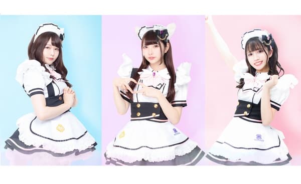 [Shinjuku East-Exit Store ] Maid Café Maidreamin's Standard Plan For Casual Visitors