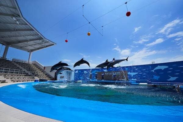 [Ages 65+] Admission Ticket to Sendai Umino-Mori Aquarium - Offering New Ways to Explore the Sea & Rivers