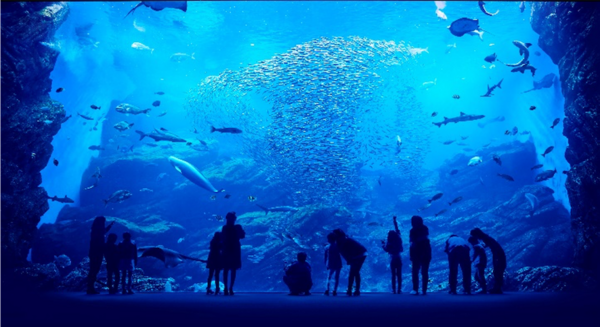 [Ages 18-64] Admission Ticket to Sendai Umino-Mori Aquarium - Offering New Ways to Explore the Sea & Rivers