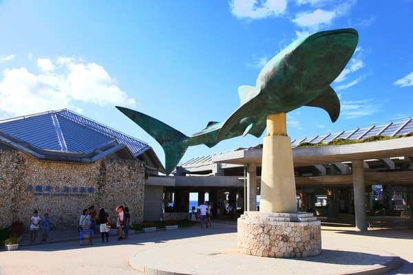 [Departing from Naha & Chatan / Northern Okinawa Sightseeing] Churashima Full-Day Sightseeing Bus Tour (Course C) *Okinawa Churaumi Aquarium → Kouri Island → Okashi Goten → Cape Manzamo → American Village