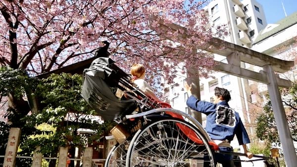 [30 Minute Course] View Cherry Blossoms on Board a Rickshaw! A Journey Through Kamakura’s History & Nature