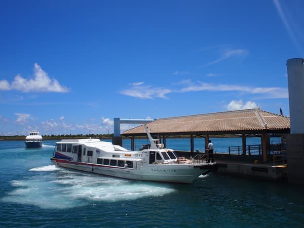Discover the Nature of Okinawa! Hatoma Island Sightseeing and Barasu Island Snorkel Tour