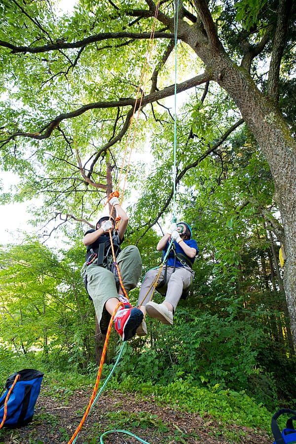 Climbing to the top of the tree! Tree Climbing Experience