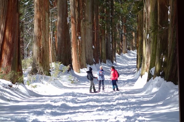 One-day snowshoe hike in the mystical winter wonderland of the Five Mountains of Northern Shinshu in Togakushi