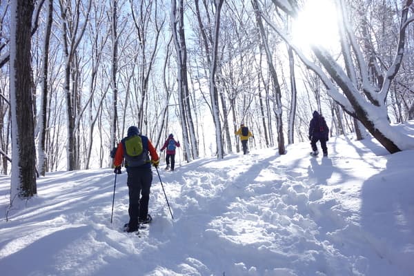 Half-day snowshoe hike in the mystical winter wonderland of the Five Mountains of Northern Shinshu in Madarao