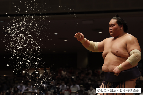 【Sumo ticket included】Sumo watching tour with an English-speaking guide!