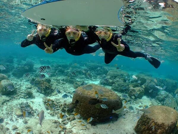 [Onna Village] Snorkel Tour with Colorful Tropical Fish & Coral Forest