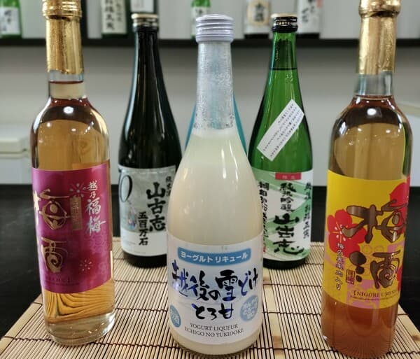 [2,500 JPY Plan] Includes a Souvenir Sake Cup + “Sake Brewery Tour” & Tasting “3 Kinds of Junmai Sake” + Tasting 2 Extra Types of Sake of Your Choice