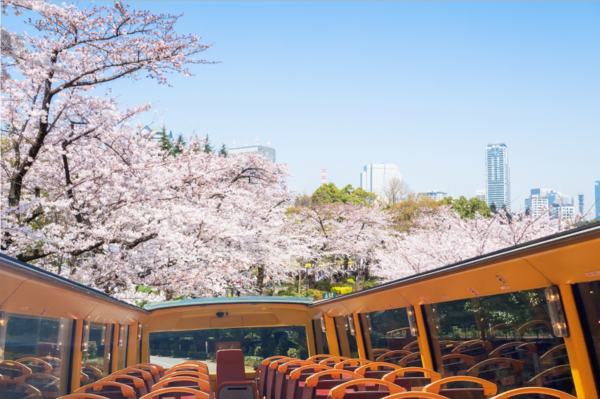 [Afternoon Departure / Mar. 28 (Tues) Apr. 3 (Mon) & 4 (Tues) Only] Visit Cherry Blossom Viewing Spots in Tokyo and Around Meguro River on the Double-Decker Open-Top Bus and Cruise (Courses Start From Tokyo Station / Kajibashi Bridge Parking Lot)
