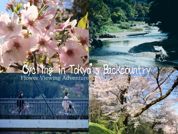 Spring Is in Full Bloom! Electric Bicycle Tour of Tokyo’s Satoyama and Valleys