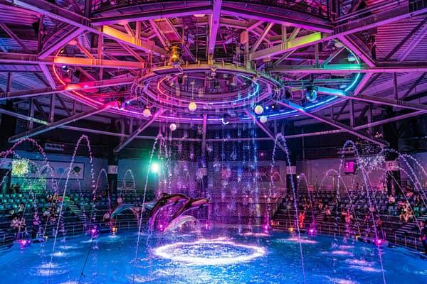 [Ages 16+] Admission Ticket to Tokyo’s Top State of the Art Entertainment Facility: The Maxell Aqua Park Shinagawa