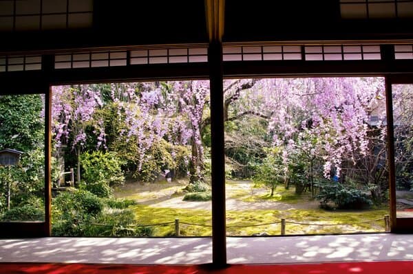 Visit the Largest Zen Temple in Japan, Myoshin-ji Toto Taizo-in, and Enjoy Lunch at Hanagokoro, a Kyoto-style Restaurant.