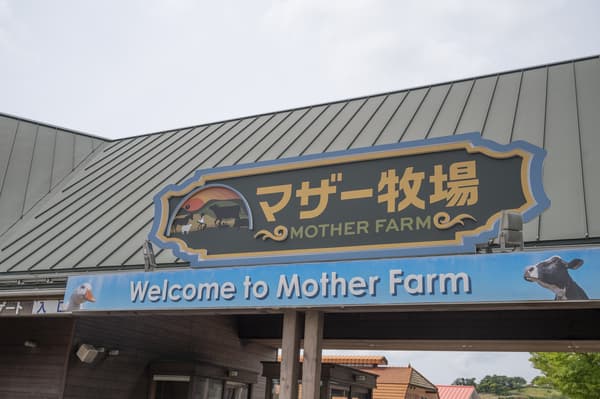 [Ages 4-11] Fun For All Ages! Admission Ticket to "Mother Farm"