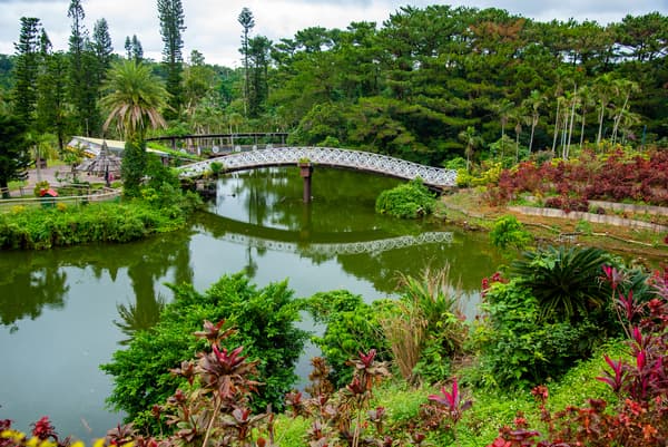 Daytime: [Ages 13-17]  Chura Yashi Park Okinawa, Southeast Botanical Garden Entrance Ticket