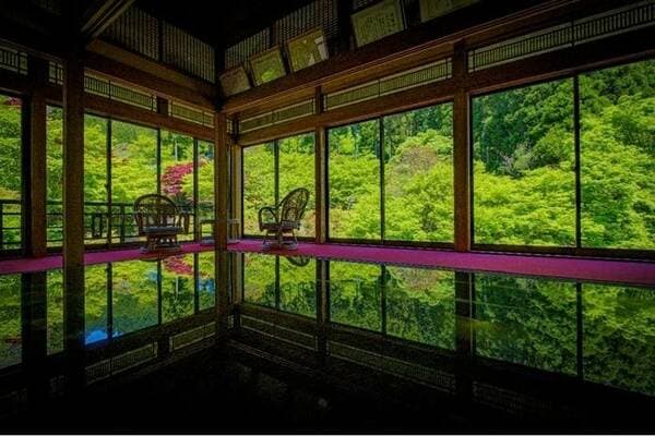 [Ages 15+] Kankyo Geijutsu No Mori Park Admission Ticket: Enjoy the four seasons and beautiful nature in Japan