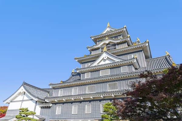 [Ages 6-14] Admission ticket to Okayama Castle Tenshukaku, a famous castle in Okayama with a rich history