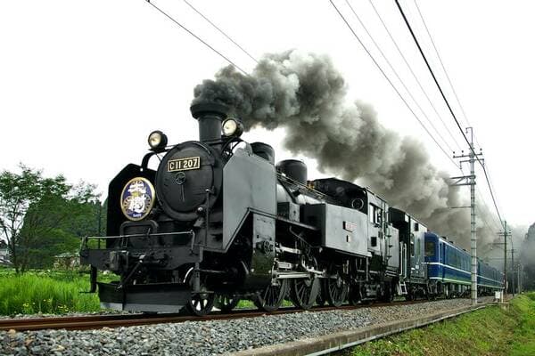 [Ages 6-11] [2-Day] Experience all of Nikko! Unlimited train and bus rides with the Tobu Nikko Pass