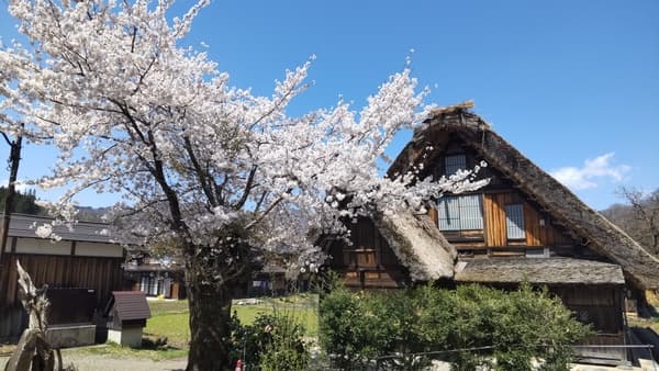 Lunch Included! Bus Tour to Fully Enjoy the World Heritage Site Heritage Shirakawa-Go