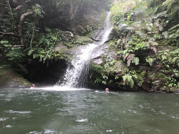 Explore the World Natural Heritage Site, Yanbaru Forest! Embark on a River Trekking Tour that Offers a Rare Opportunity to Swim in Waterfall Basins