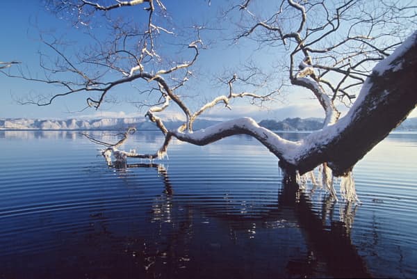 Towada Hachimantai National Park: A Tour Around the Spectacular Winter Scenery (With a Chinese-Speaking Guide)