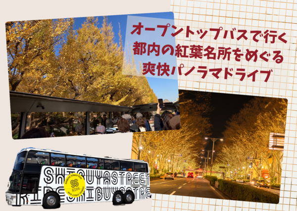 [Afternoon departure, limited to December 4th (Monday) and 5th (Tuesday)] An exhilarating panoramic drive around famous autumn foliage spots in Tokyo