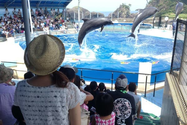 [Ages 16+] Echizen Matsushima Aquarium's admission ticket (10% discount from the ticket sold on the day of the visit) -Fukui