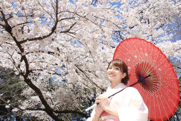 [Asakusa Flagship Store] Complete Kimono Rental Plan With Hair Styling & Dressing Service! One-Star Plan
