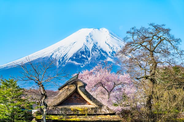 [Ages 12+] [Departing Shinjuku] Day Trip Tour to Mt. Fuji (With Free Time For Lunch/Chinese-Speaking Guide) - Yamanashi
