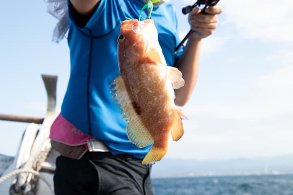 Sea Fishing Experience on the Sea of Japan on the boat and Savor Dishes Made From Freshly Caught Fish - Shimane