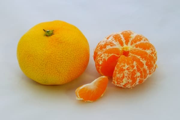 Mandarin Orange Juice & RebOrange (Mandarin Orange Oil) Making Activity in Wakayama