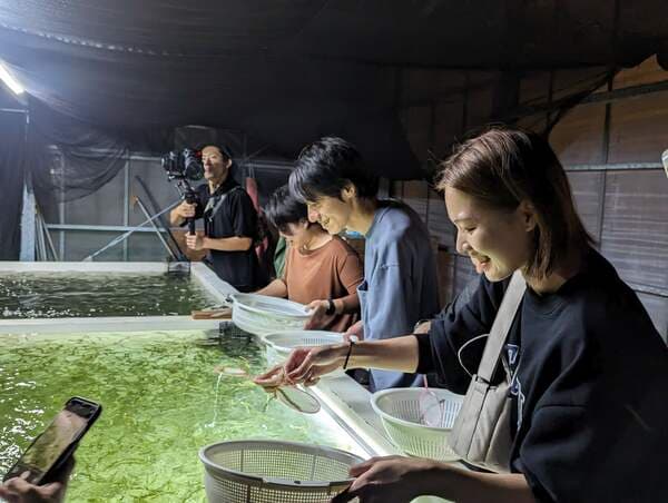 Umibudo Farm Night Tour - Umibudo (Sea Grape) Scooping Experience! - Okinawa
