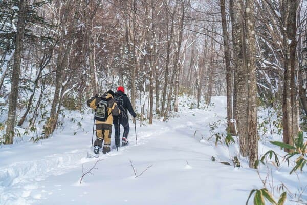 Explore the Ice Stalagmite of Noboribetsu with an English-Speaking Guide in Hokkaido!