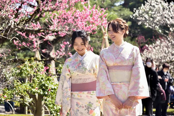 [Kimono Rental VASARA Sensoji Temple Store]  Friends Plan (Kimono Rental & Hair Styling & Dressing Included)