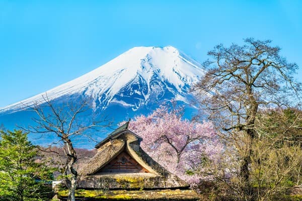 [Ages 4-11] [Departing Shinjuku] Day Trip Tour to Mt. Fuji (With Free Time For Lunch/Chinese-Speaking Guide) - Yamanashi
