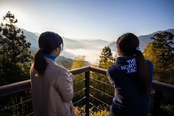 [Chartered Taxi Included] View the Sea of Clouds! / Tokushima, Shikoku