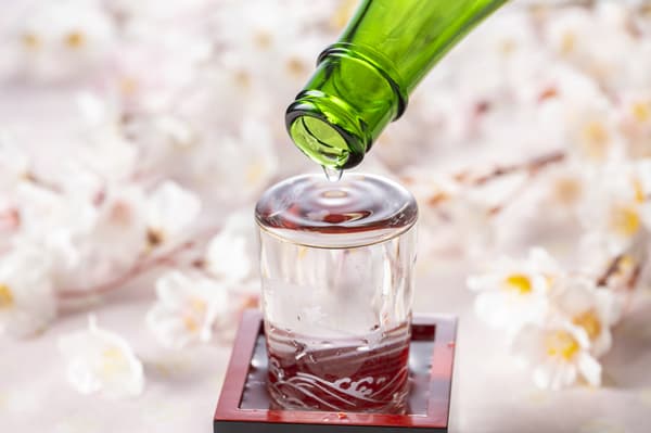 [April 2-7 ONLY] Special Nighttime Cherry Blossom Viewing with Sake from the Oldest Brewery in Osaka (Includes Shuttle Bus Service) - Osaka