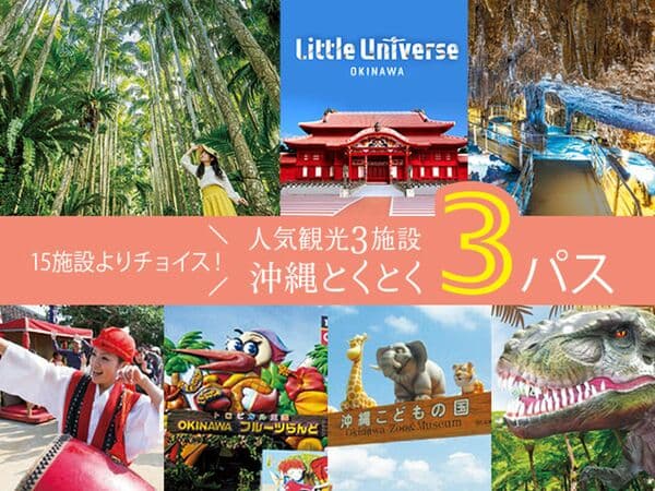 Enjoy All That Okinawa Has To Offer in 5 Days! "Okinawa Tokutoku 3 Pass" - Okinawa