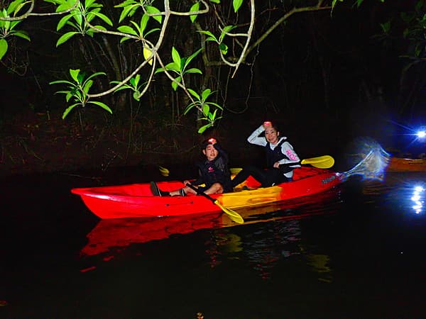 [ Iriomote Island] Night Mangrove & Starry Sky SUP or Canoe