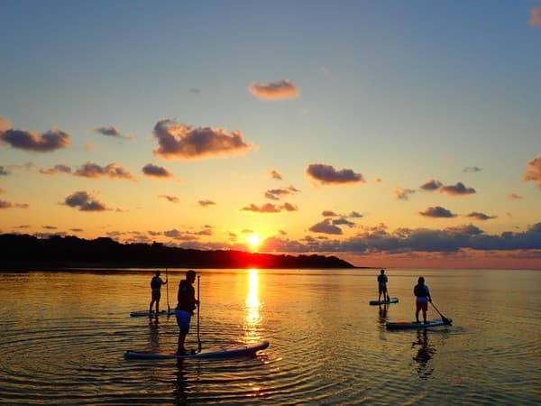 [Ishigaki Island] "Sunrise" Ishigaki Island SUP or Canoe Tour