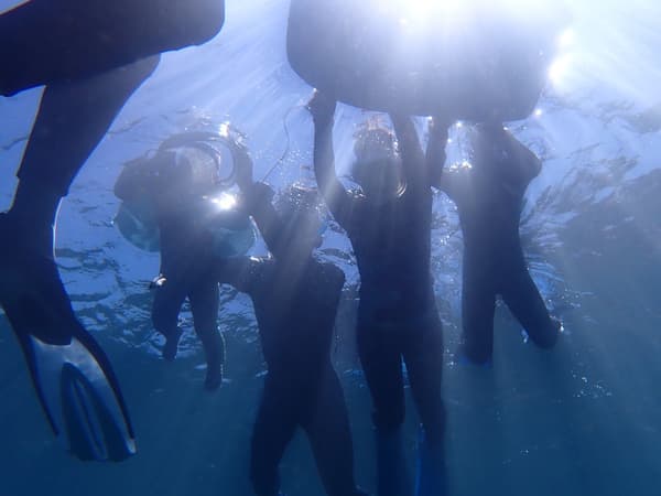 Underwater Fun with a Snorkeling Picnic / Beach Entry