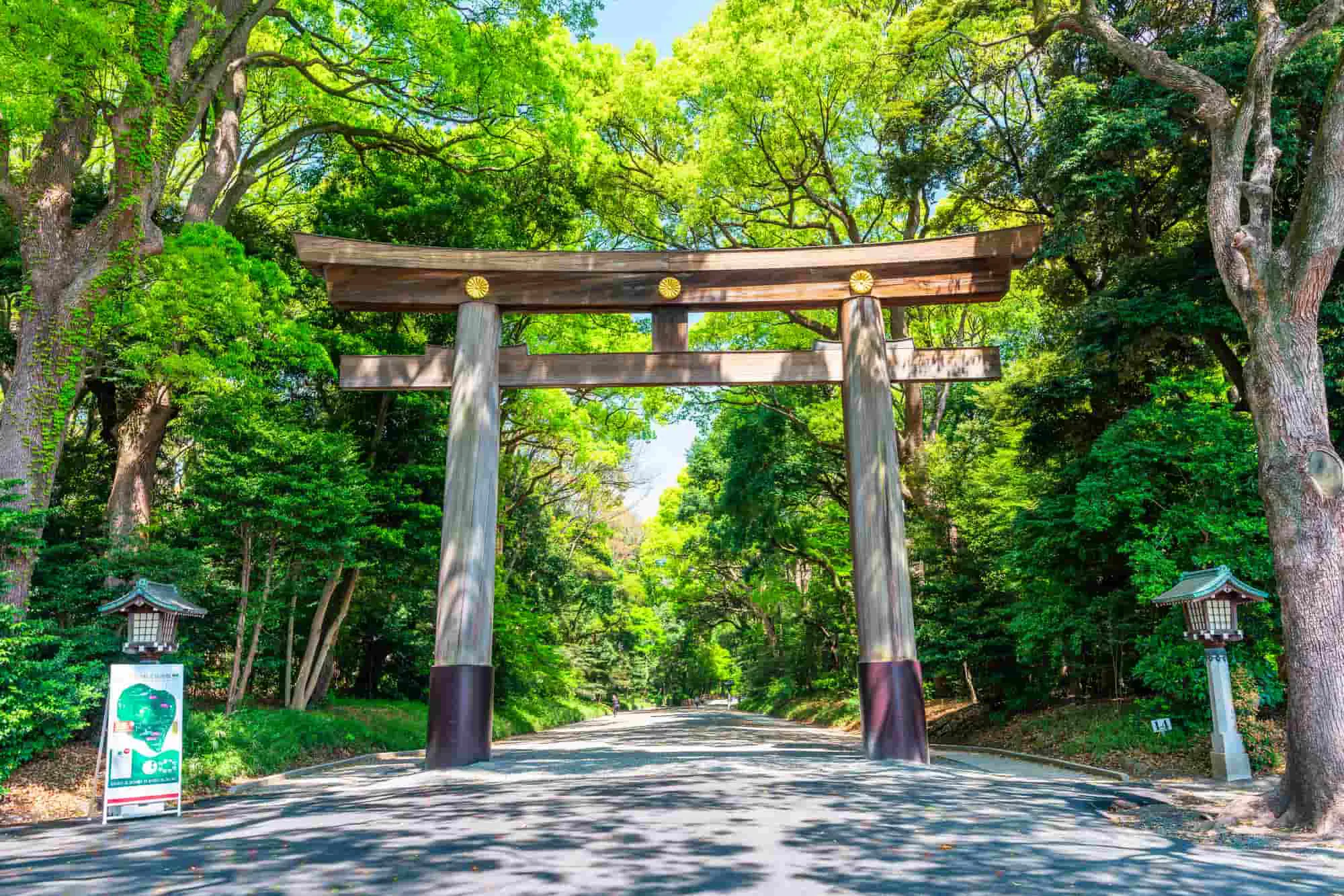 Japonia